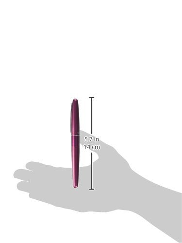 Pilot Cocoon Fountain Pen Fine Nib Bordeaux Body (FCO-3SR-BO-F)