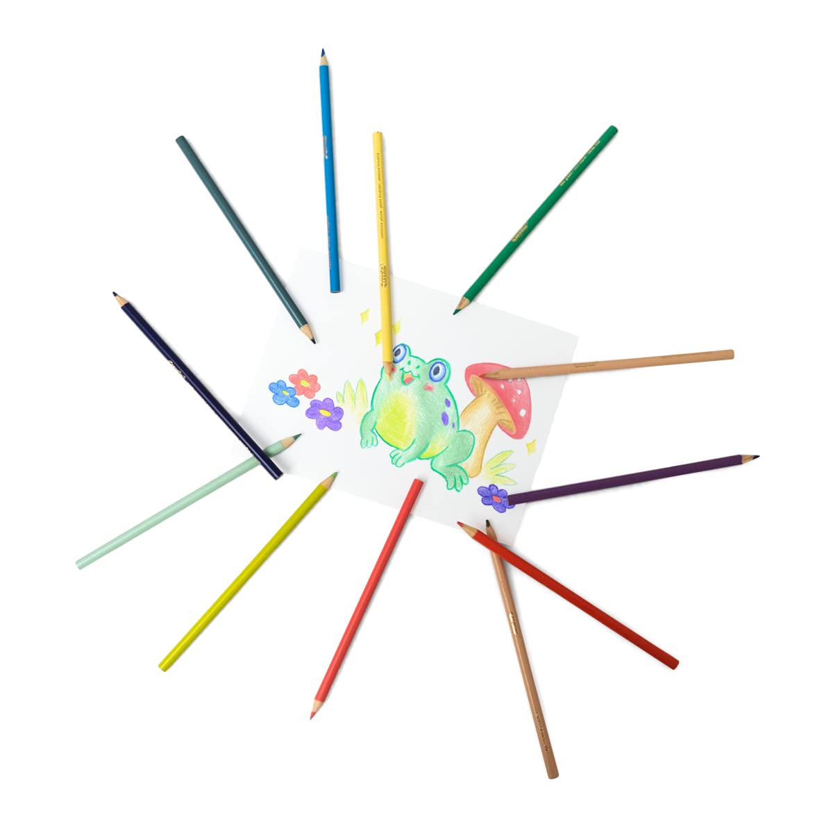 CRAYOLA Pastel Coloured Drawing Pencils, Pack of 12, for School and Leisure, Assorted Pastel Colours