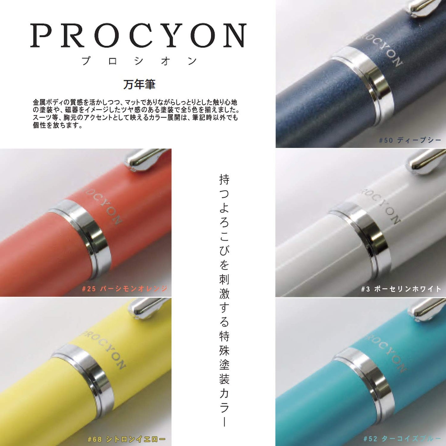 Platinum PNS-5000 3-3 Fountain Pen, Procion #3, Porcelain White, Medium Point