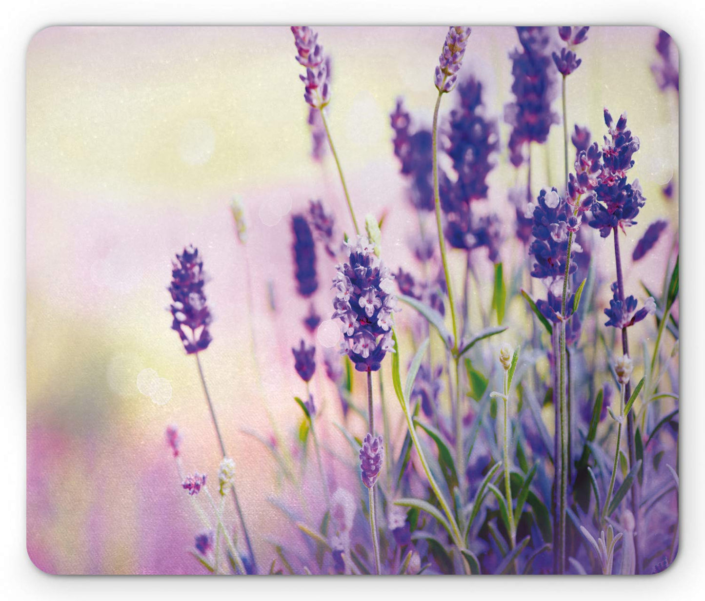 Lunarable Lavender Mouse Pad, Dreamlike Spring Day with Fresh Blossoms Aromatic Delicate Wild
