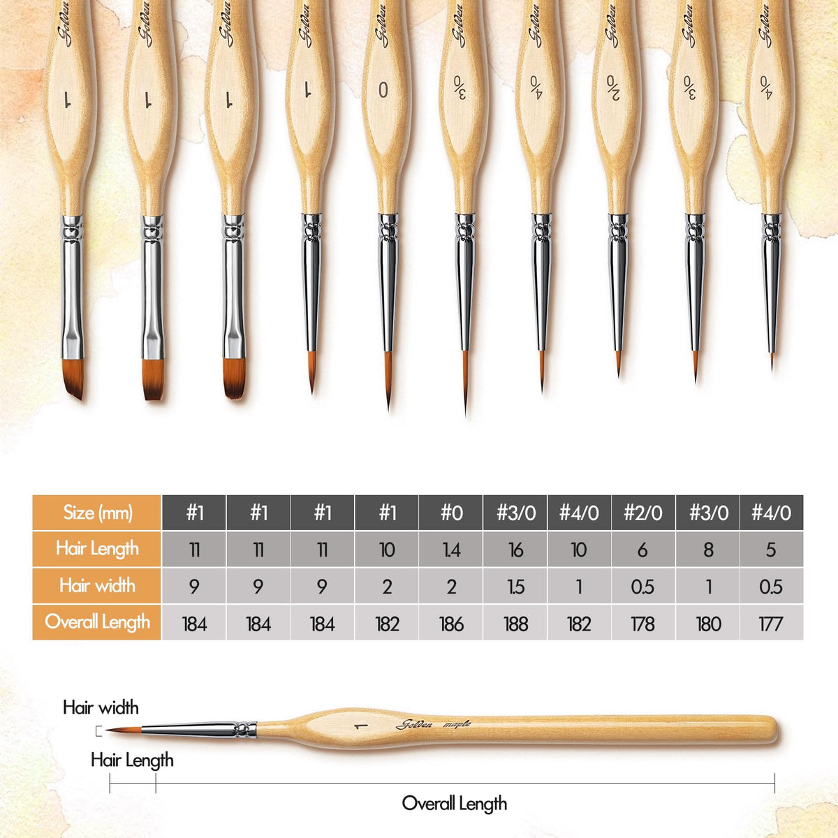 Golden Maple Miniature Paint Brushes 10pcs Detail Paint Brushes Flat Angle Filbert Fine Detail