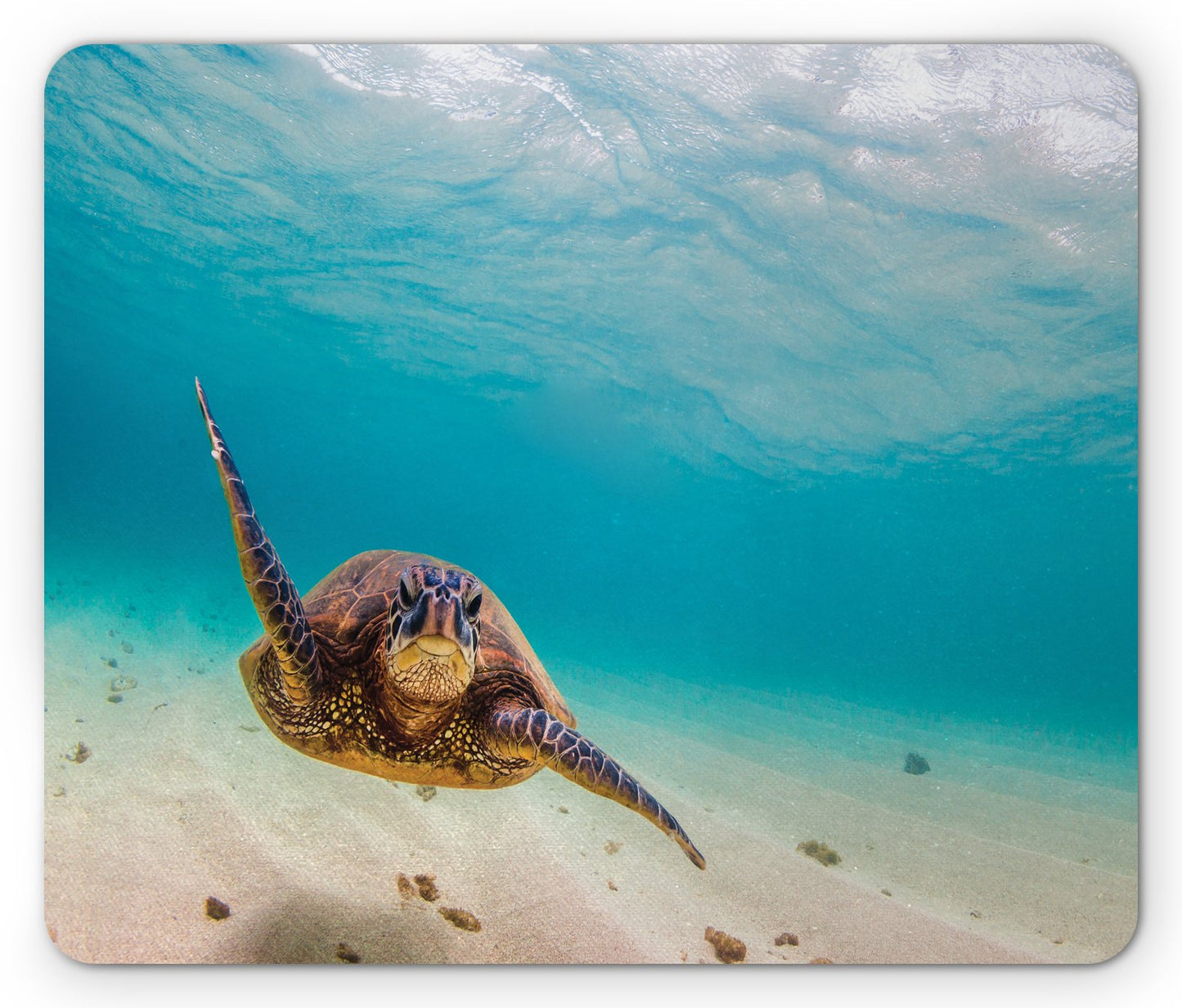 Lunarable Hawaiian Mouse Pad, Underwater Scuba Diving Sea Turtle Nature Animal Swimming Wildlife