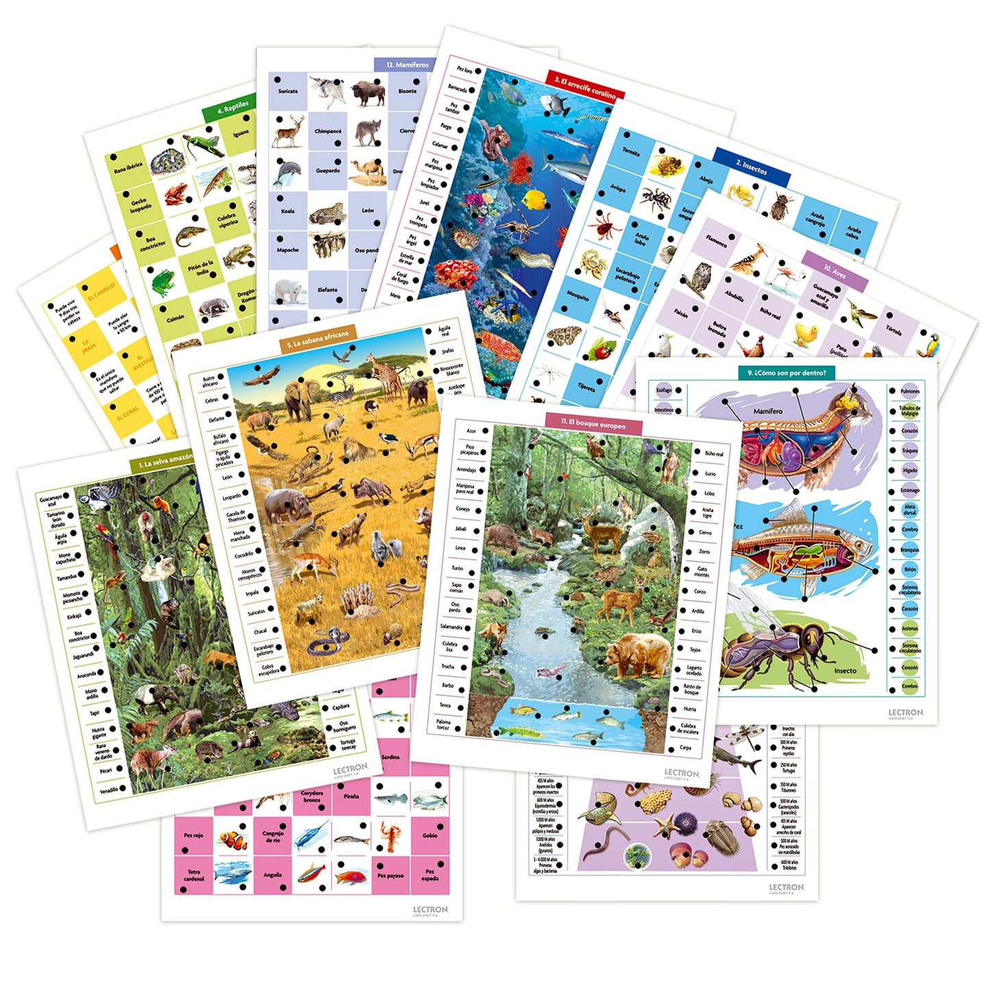 Diset Lectron: Animals of The World (63810) - Age 7+