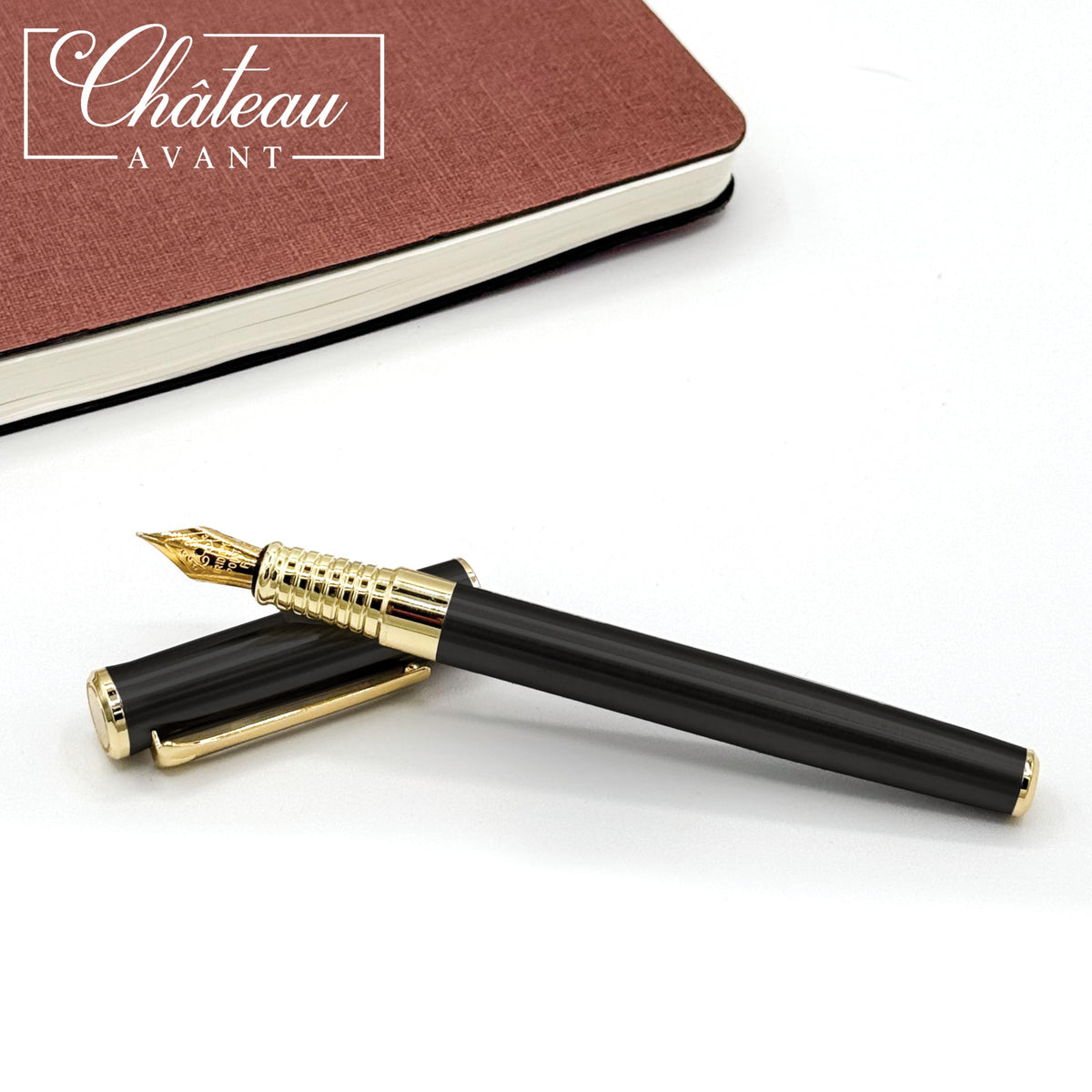 Chateau Avant Signature Calligraphy Fountain Pen Gift Set | Black | Fine and Calligraphy Nibs, 10