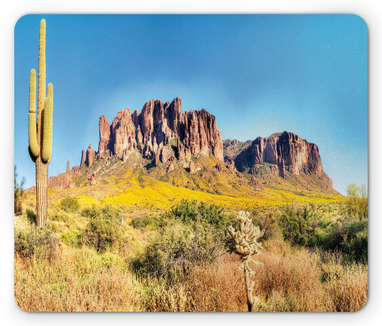 Ambesonne Saguaro Mouse Pad, Blooming Brittlebush Superstition Wilderness by The Mountain Phoenix
