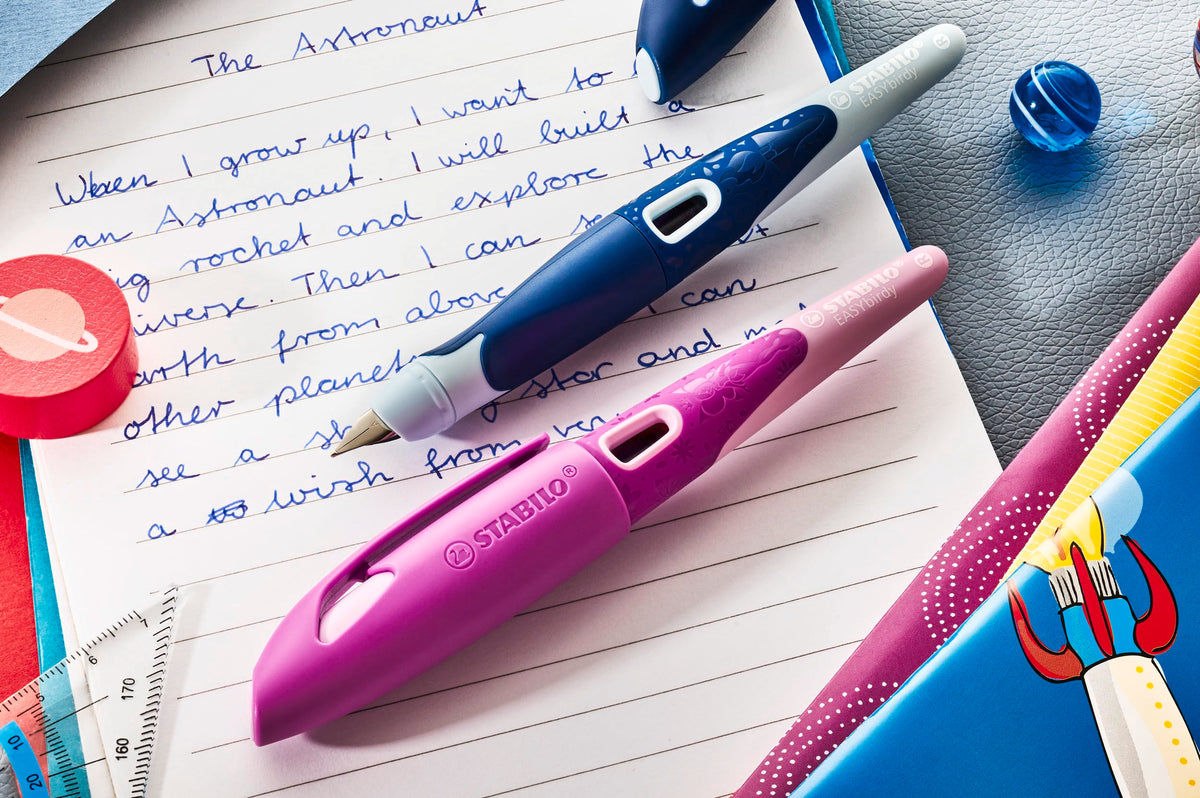 STABILO EASYbirdy 3D DreamWorld Special Edition Ergonomic School Fountain Pen for Right-Handed