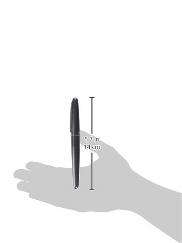 Pilot Cocoon Fountain Pen Medium Nib Metalic Gray Body (FCO-3SR-MGY-M)