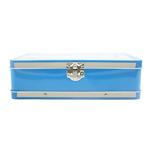 DAHO Metal Storage Box with Hinge for Office, School, Home, Makeup, Arts & Crafts and Accessories