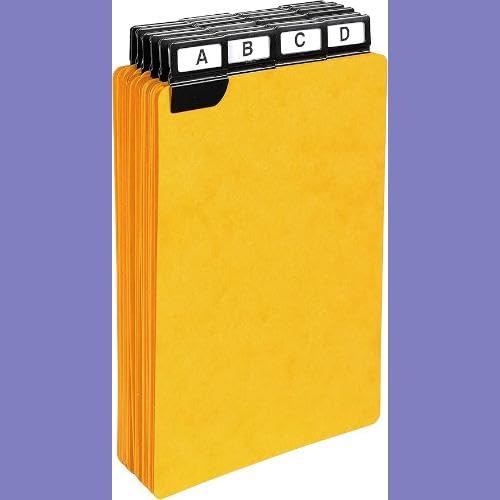 Exacompta - Alphabetical Record Card Inserts - A5 (210 x 148mm), 425gsm, Metallic Black Tabs, 24