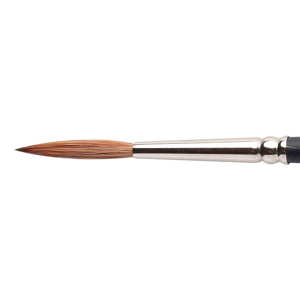 Winsor & Newton Professional Watercolour Sable Brush, Rigger #5