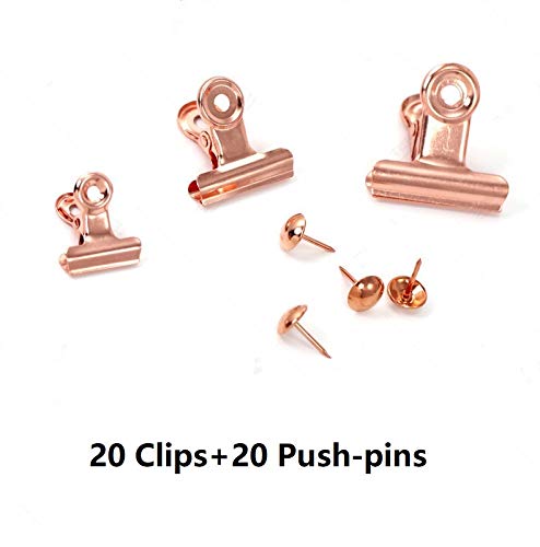 YUCHIYA 20 Pack Bulldog Clips with Push-pins for Corkboard,Metal Clips for Crafts, Metal Binder