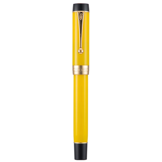 Jinhao Classic Fountain Pen Yellow Celluloid, Medium Nib with Converter and Metal Pen Case Set