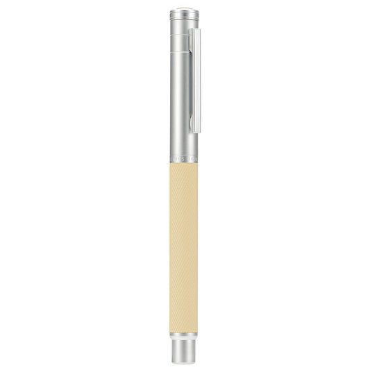 Silver Birch Forest Aluminum Fountain Pen Fine Nib with Converter and Metal Gift Box Set By Asvine