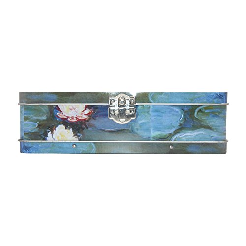 DAHO Metal Storage Box with Hinge for Office, School, Home, Makeup, Arts & Crafts and Accessories