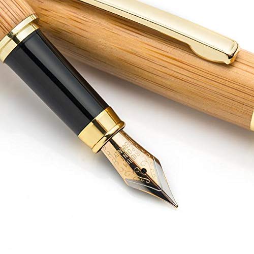 Dryden Designs Luxury Bamboo Fountain Pen with Ink Refill Converter and Matching Gift Case - Smooth