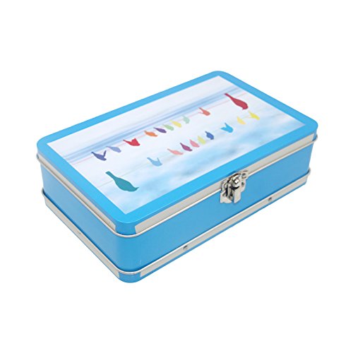 DAHO Metal Storage Box with Hinge for Office, School, Home, Makeup, Arts & Crafts and Accessories