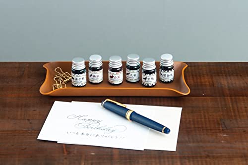 黒を愉しむ万年筆インク6色セットつき 万年筆のある毎日 (TJMOOK)