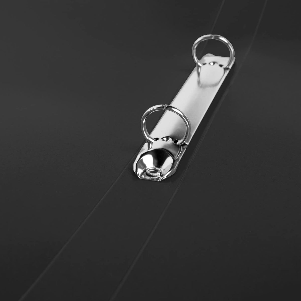 Idena 10428 - Ring Binder in DIN A4 Format, 2-Ring Mechanism with 16 mm Diameter, 20 mm Spine