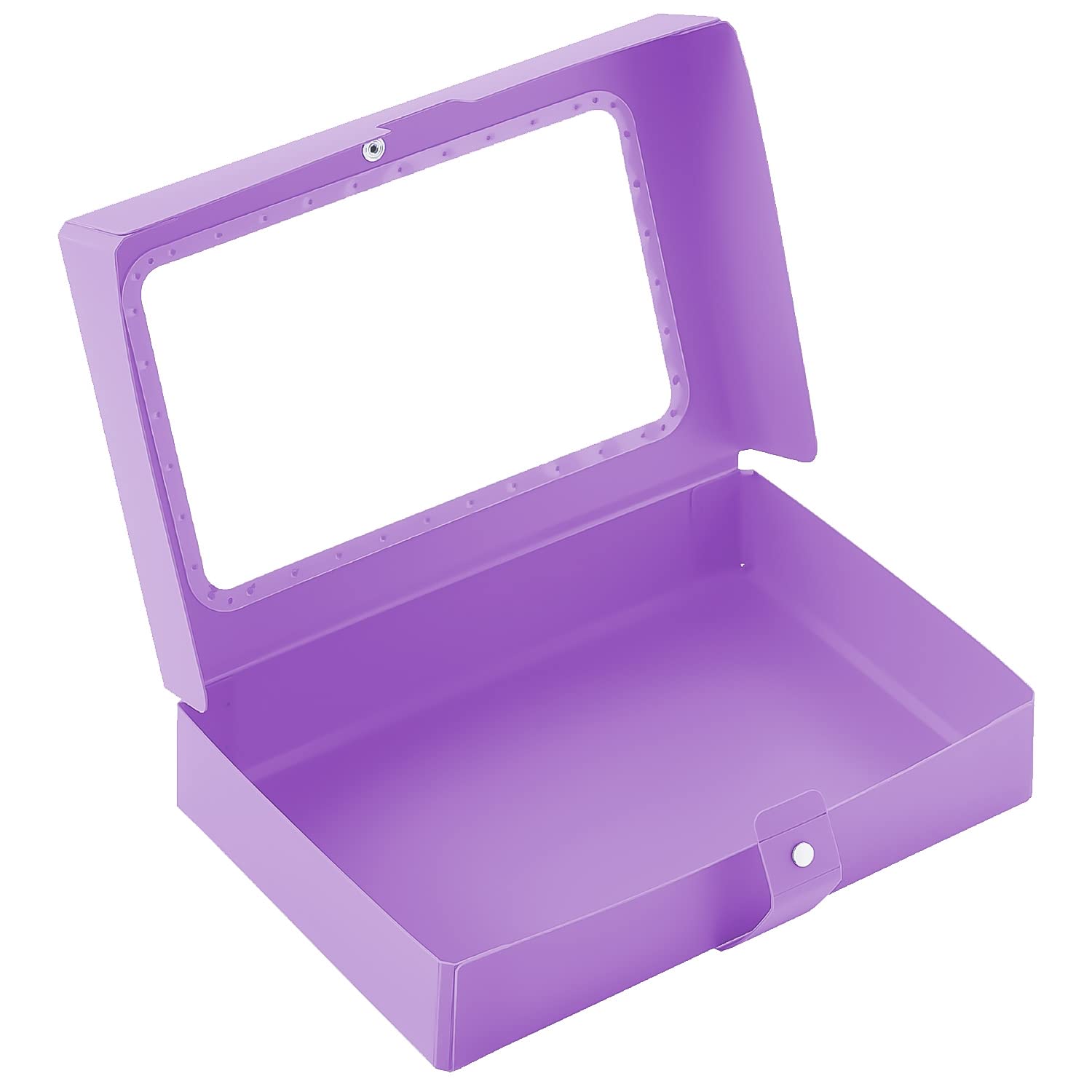 Lihit Lab A698-10 Maste Storage with Dividers, Collection Case, Purple