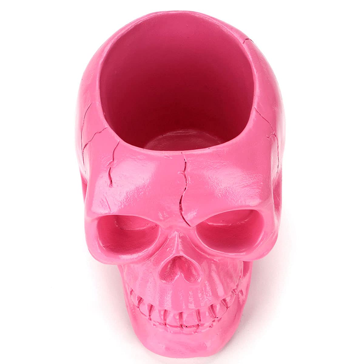 UnionKK Creative Skull Head Makeup Brush Holder,Make Up Brush Case,Organizer Cosmetic Organizer,Pen