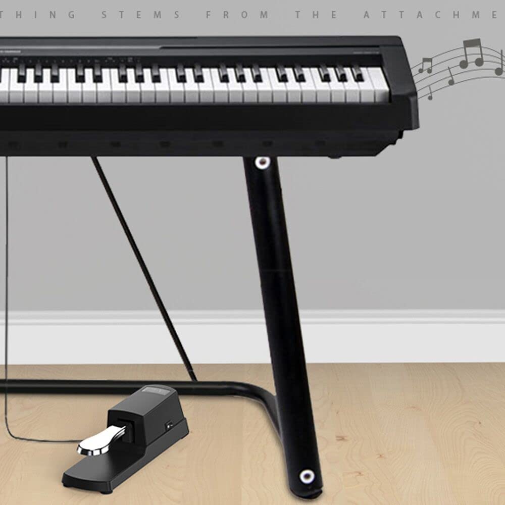 Goldby Piano Sustain Pedal, Universal Keyboard Foot Sustain Pedal for Yamaha, Casio, Roland, Korg