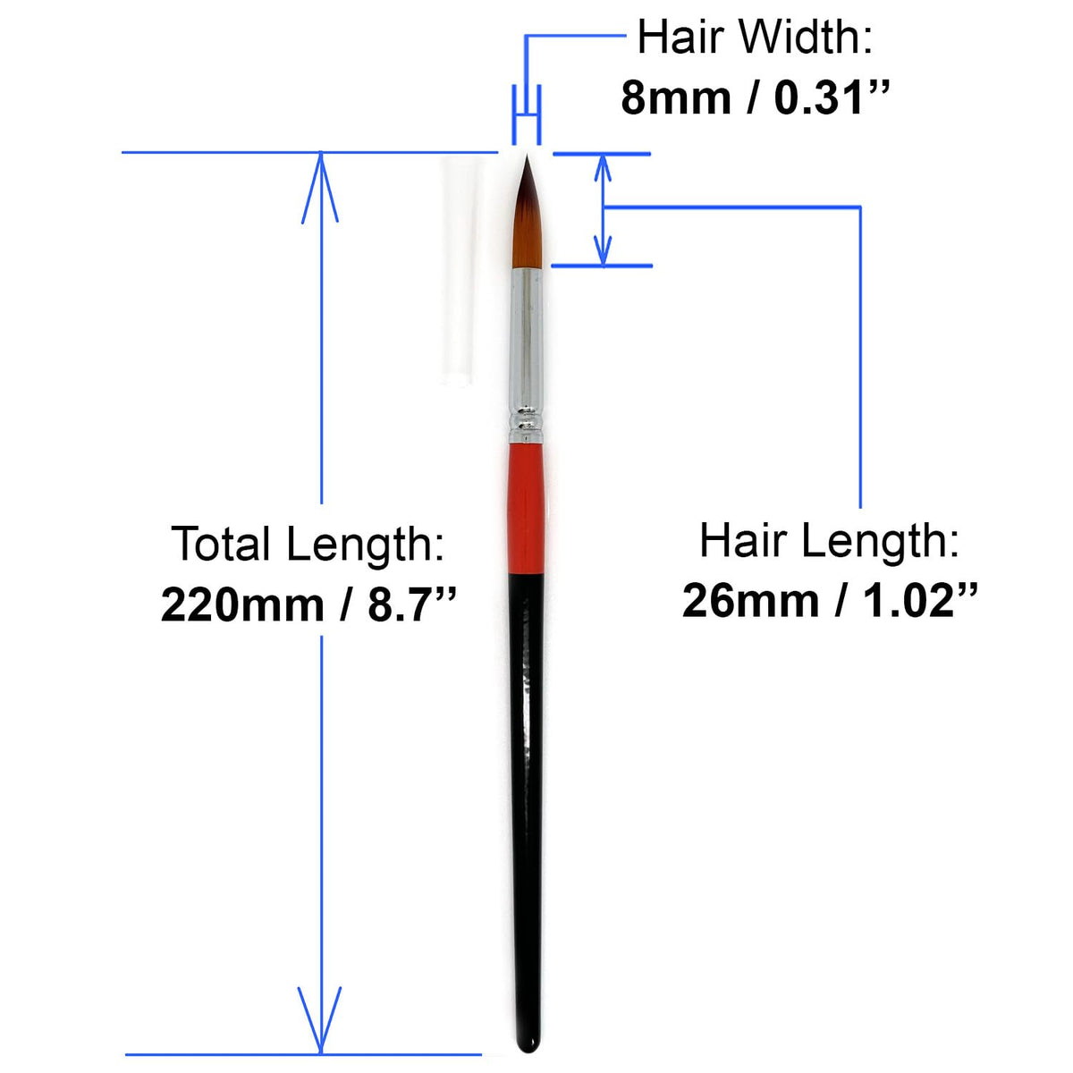 Size #10 Pointed Round Paint Brush Set of 12, Premium Taklon Synthetic Hair