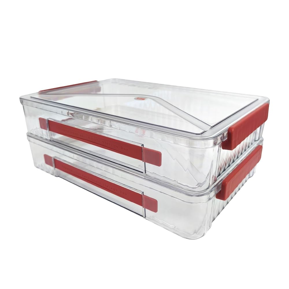RHONZHAO Clear Stackable Project Case, 2 Pack, for A4