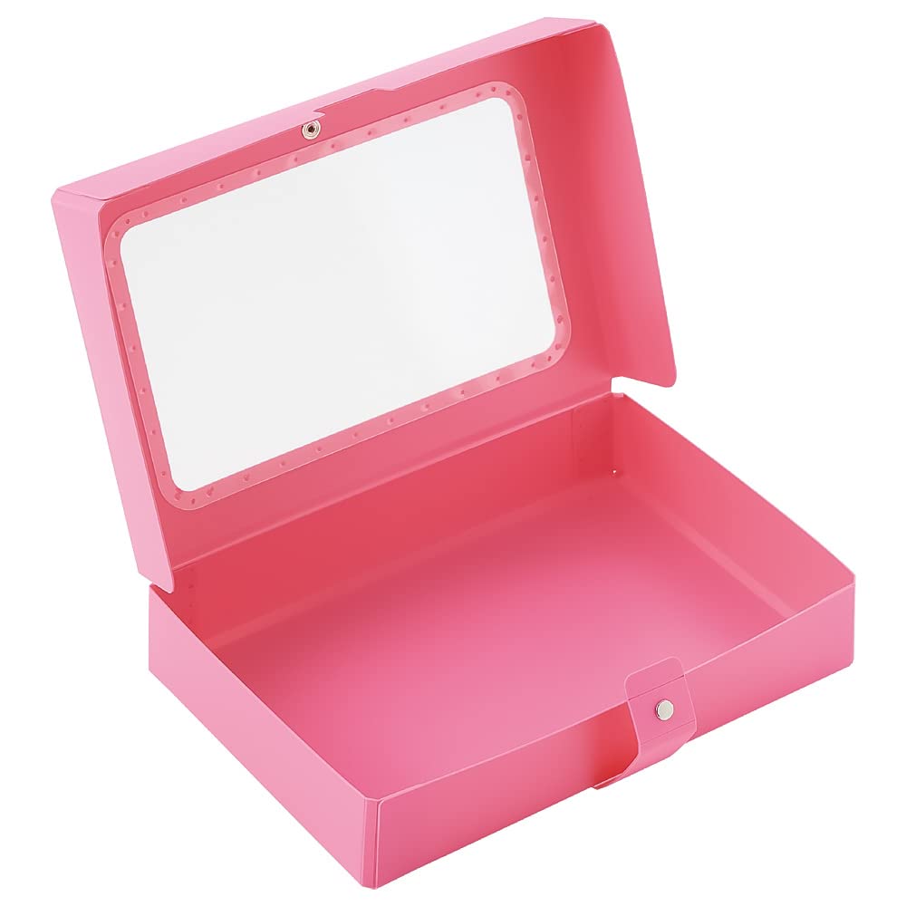 Lihit Lab A698-12 A5 CUBEFIZZ Maste Storage with Dividers, Pink