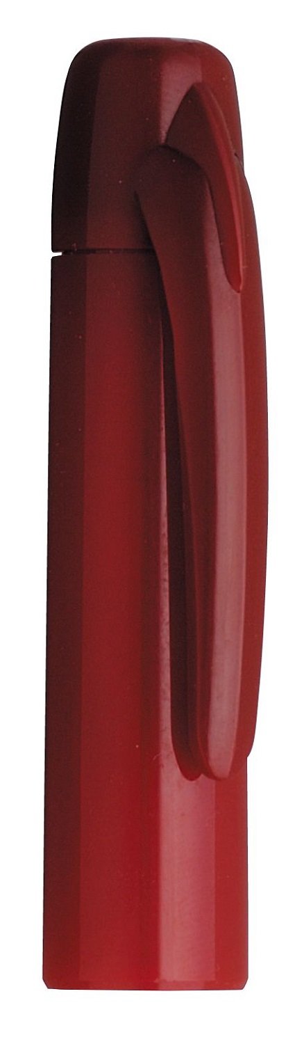 Platinum DPQ-700A#10-1 Fountain Pen, Desk Pen, Red, Extra Fine