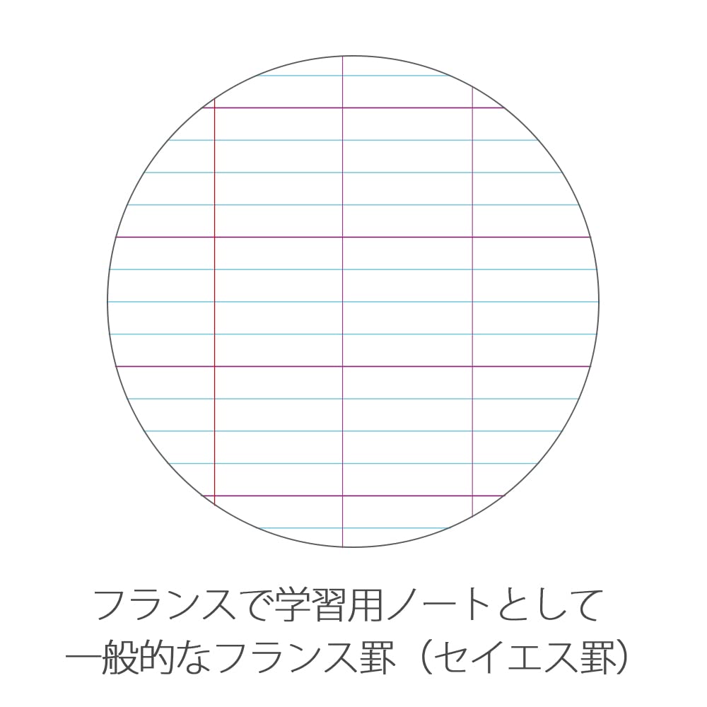 Clairefontaine 313361C A Pink Mimesys Stapled Notebook - 24x32 cm - 96 Pages Seyes Ruled - 90 g