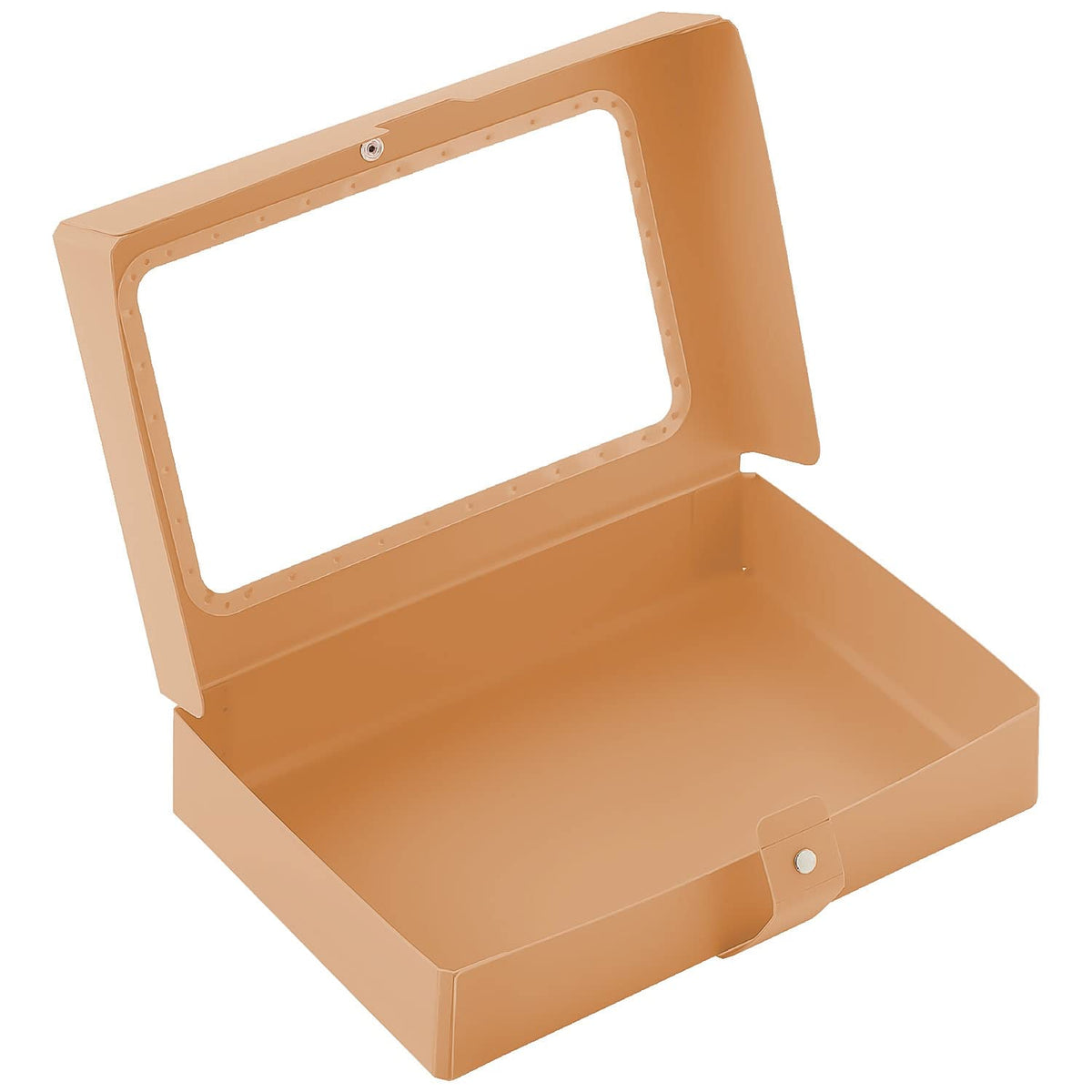 Lihit Lab A698-16 Maste Storage with Dividers, Collection Case, Beige