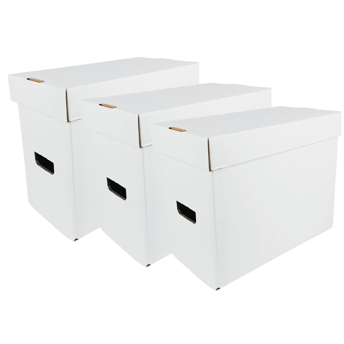 Max Protection CGC Graded Comic Book Storage Boxes - Heavy-Duty - 3 Count