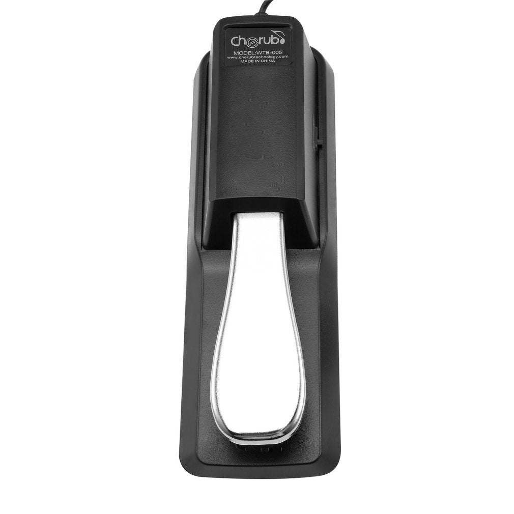 Sustain Pedal for Yamaha Roland Casio Korg Nord Kurzweil Hammond Alesis Moog Ensoniq Behringer