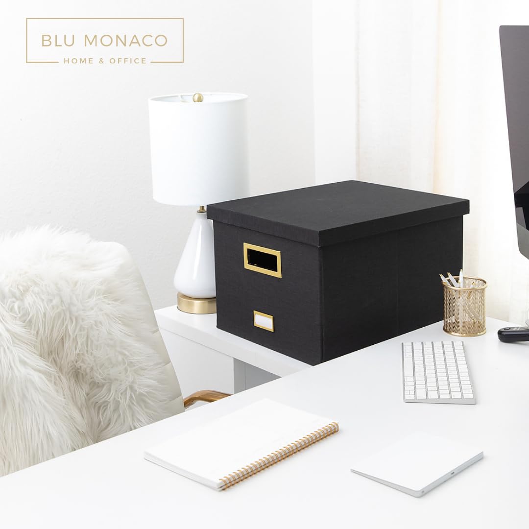 BLU MONACO | Desktop Hanging File Organizer Box with Lid | Hanging File Organizer for Desk with