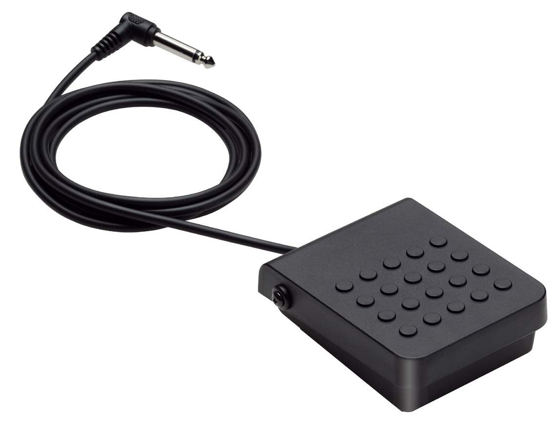 Casio SP-3 - Sustain Pedal Compatible with All Casio Keyboards and Digital Pianos with A Pedal Jack