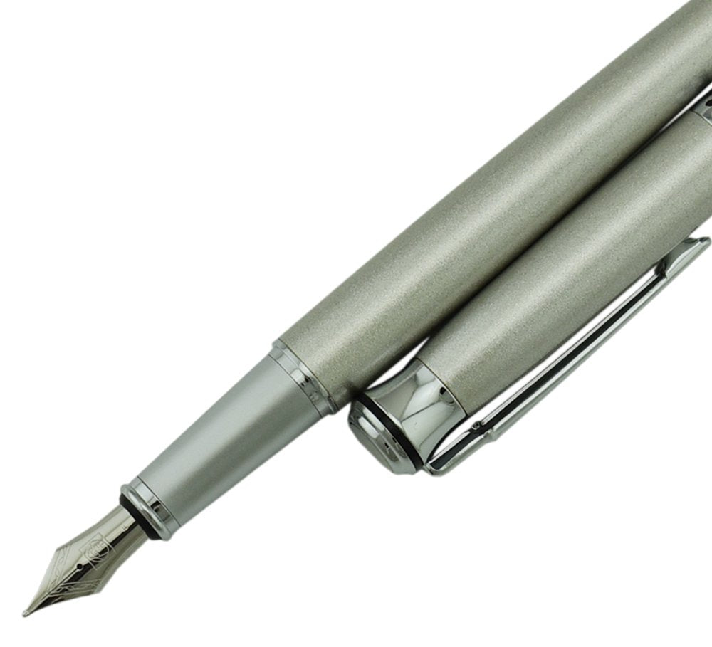 Picasso Fountain Pen 903 Series Silver Platinum Color Fine Nib Sweden Flower King with Calligraphy