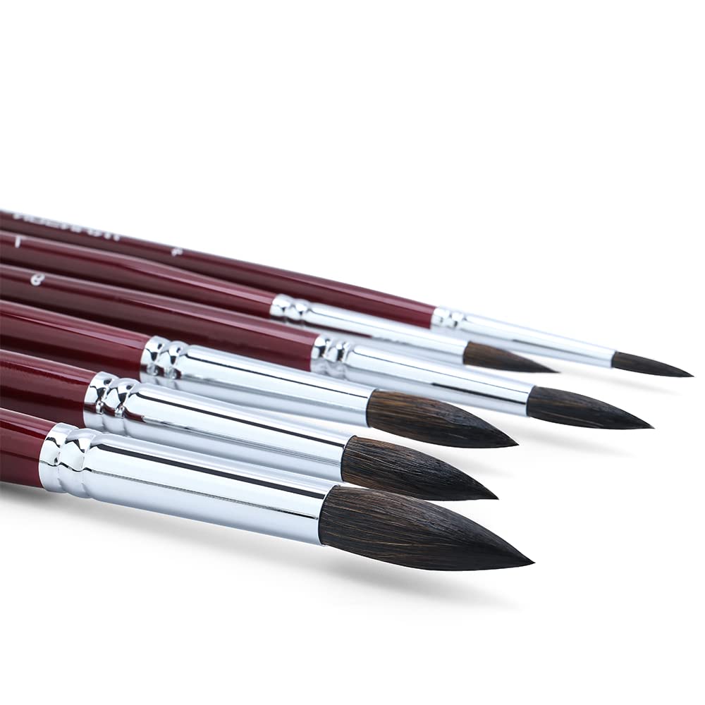 Transon Squirrel Hair Round Paint Brush Set for Watercolor Gouache Ink Acrylic Art Painting