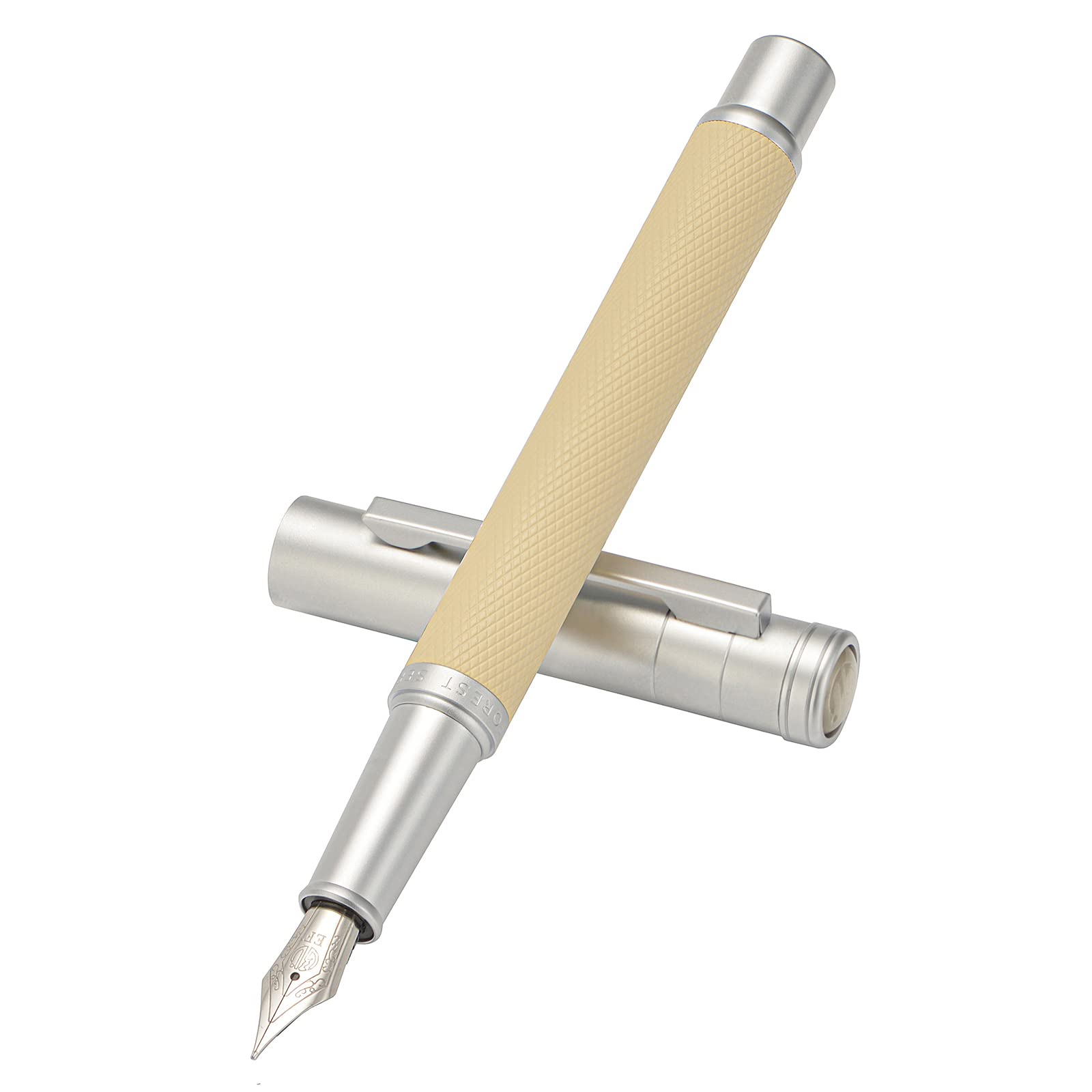 Silver Birch Forest Aluminum Fountain Pen Fine Nib with Converter and Metal Gift Box Set By Asvine