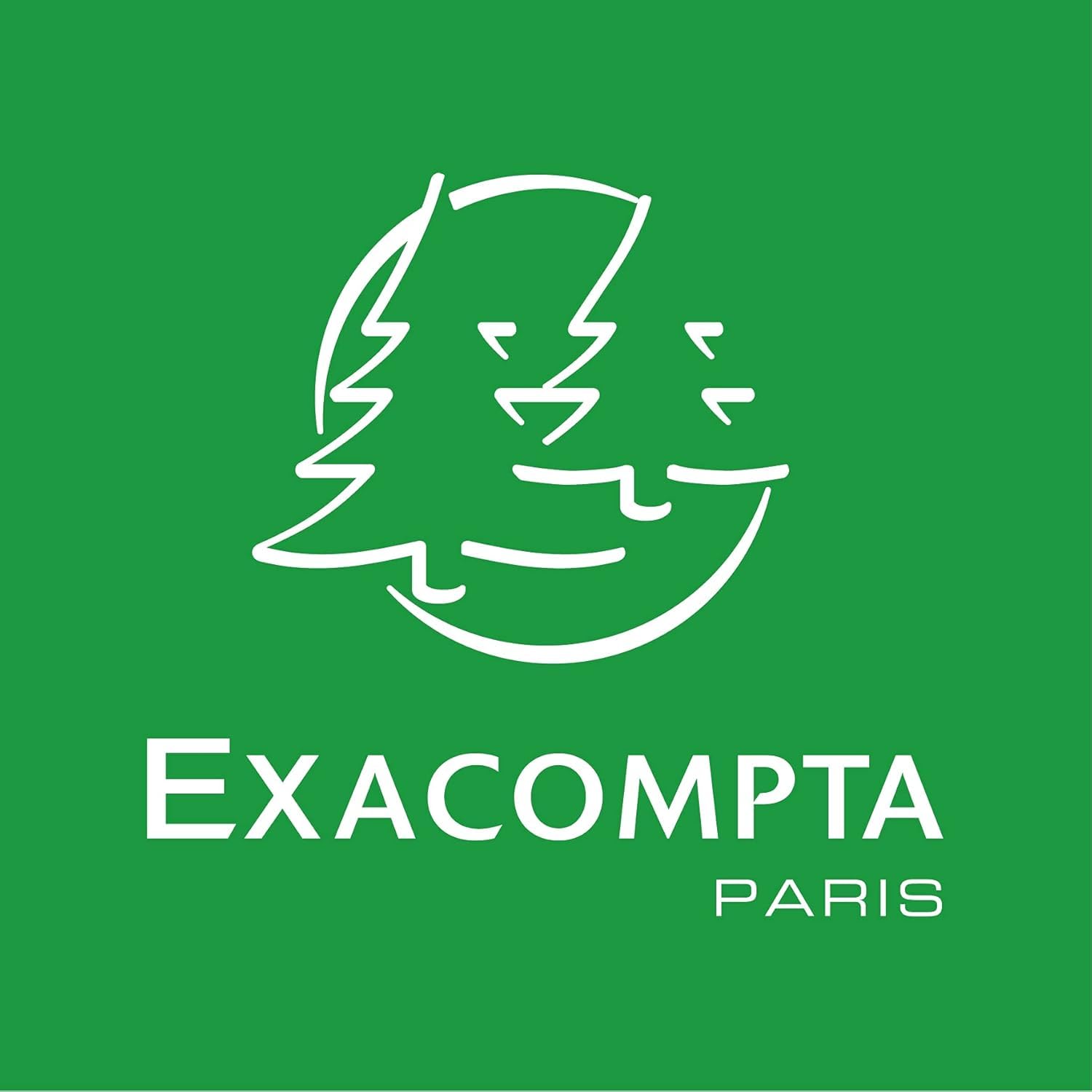 EXACOMPTA - 510510E - Iris Iridescent Reflective Card Holder - Store Multiple Transportation