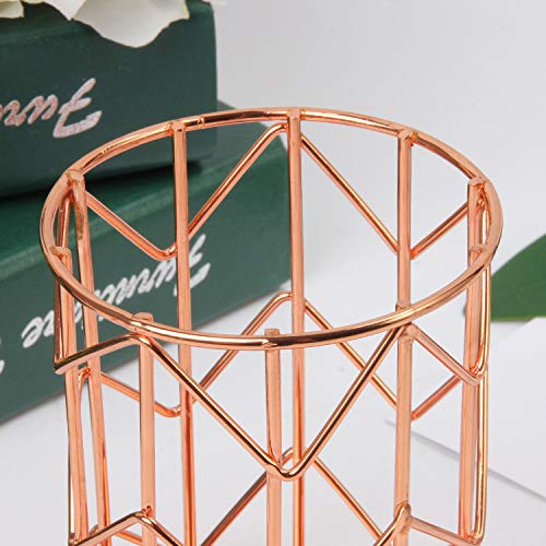 HSYMQ Pen Holder for Desk, Make Up Brush Holder Rose Gold Metal Wire Pencil Cup Holders