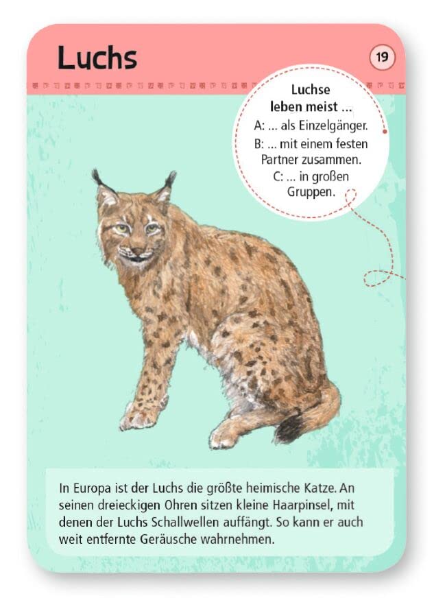 Moses 9739 Expedition Natur - 50 Local Forest and Wild Animals | Determination Cards in a Set |