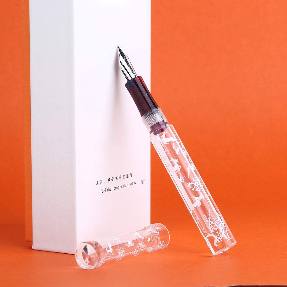 erofa C1 Snowflake Eyedropper Fountain Pen Extra Fine Nib, Double Ink Filling System with Original