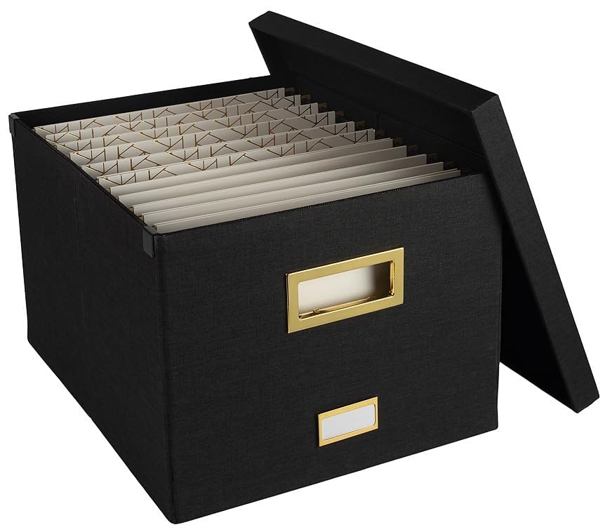 BLU MONACO | Desktop Hanging File Organizer Box with Lid | Hanging File Organizer for Desk with