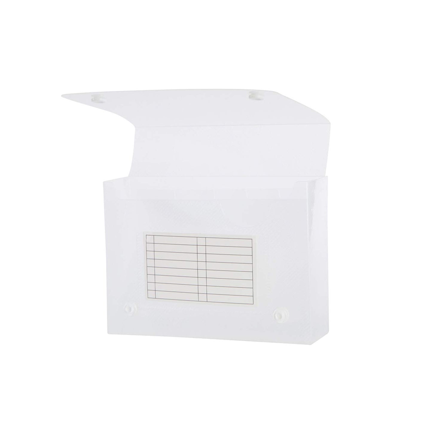 Filexec Products, Universial Case, 4"x6", 5-Tabs Removable, Clear, Pack of 12 (50603-20223)