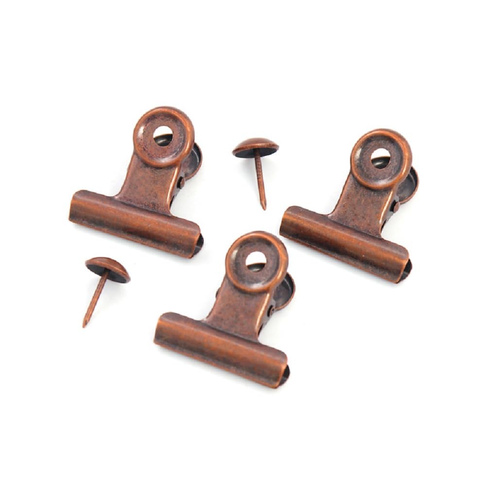 YUCHIYA 10 Pack Bulldog Clips with Push-pins for Corkboard,Metal Clips for Crafts, Metal Binder