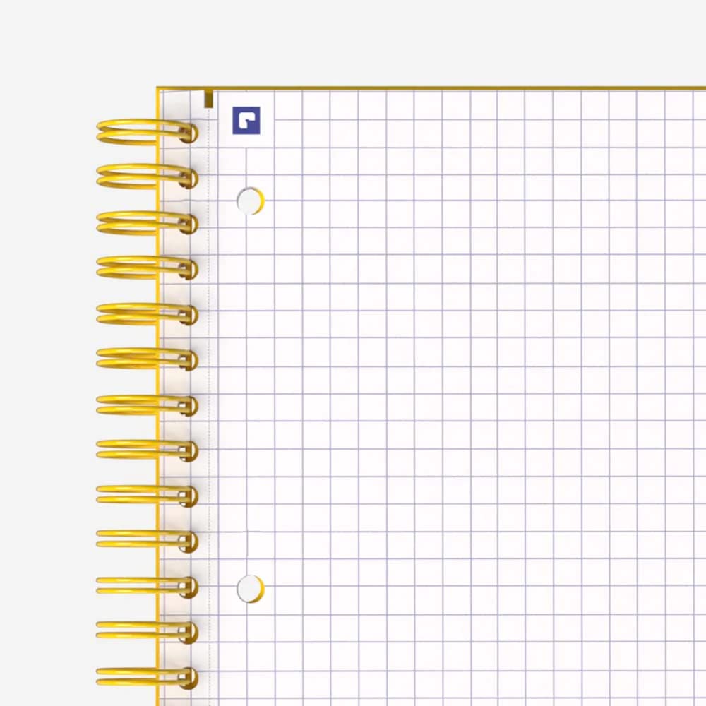 Hamelin 1 Subject, Graph Paper, Hard Cover Spiral Bound Grid Notebook, 4 Square Per Inch 150 Pages