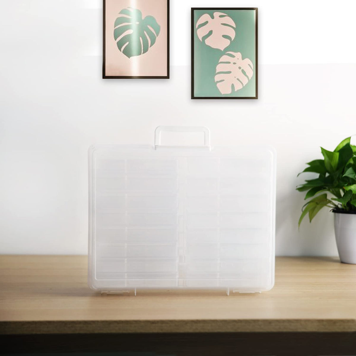 Naivees 4" x 6" Photo Storage Case with Handle, 16 Inner Photo Organizer Keeper, Extra Large
