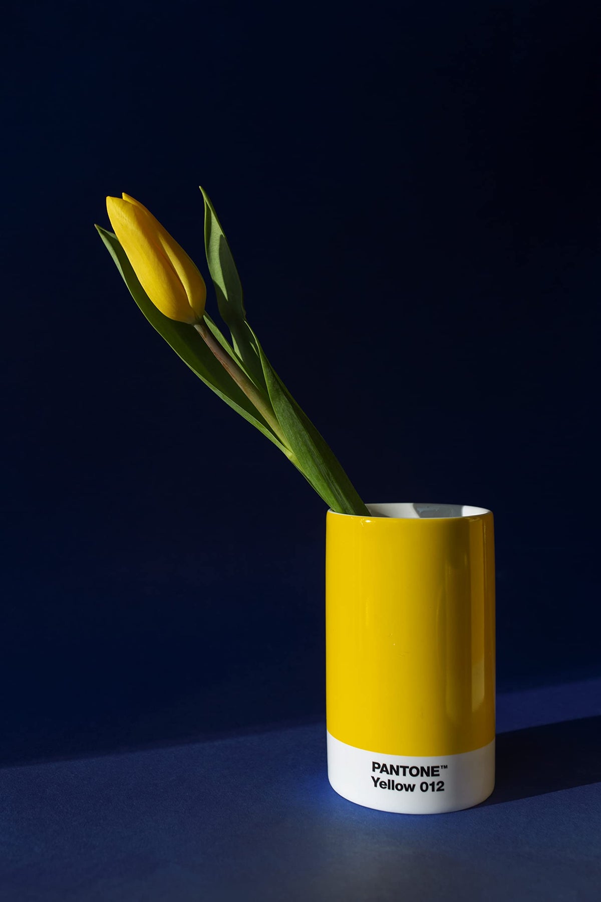 Copenhagen Design PANTONE Pencil Cup, Yellow 012, 101490012