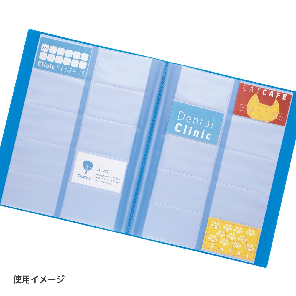Plus FL-201NS 82-401 Business Card Holder for 200 Cards, A4, Blue