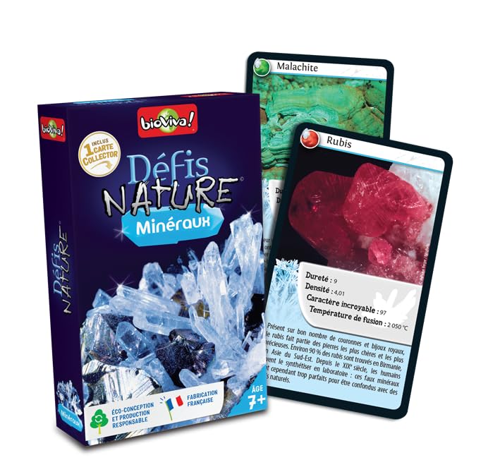 Bioviva 280198 Challenges Nature-Minerals Card Game, Multi-Color, 7,2 x 2 x 11,4